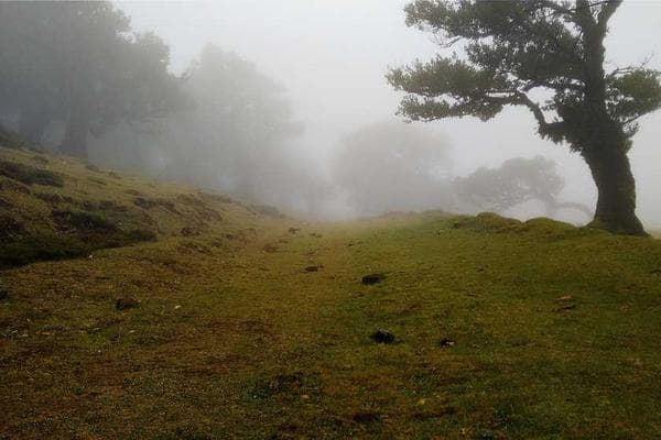 A plate of puttu and kadala curry.
